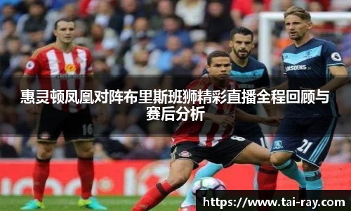 惠灵顿凤凰对阵布里斯班狮精彩直播全程回顾与赛后分析